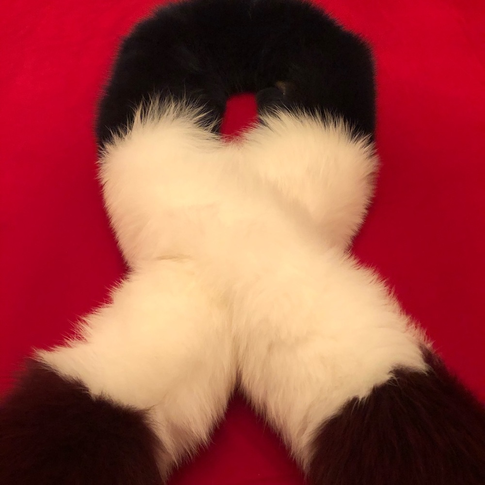 FOX - Picture 16 of 16